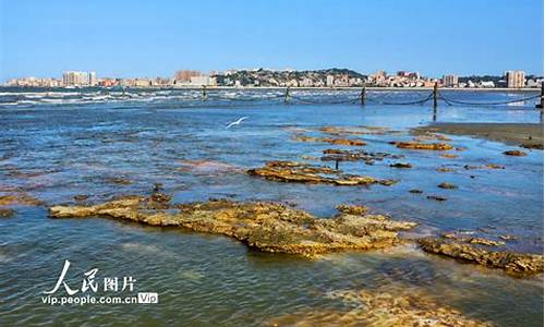 福建深沪天气预报,福建深沪天气预报查询