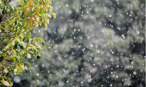 雨雪天气问候语_雨夹雪天气问候信息