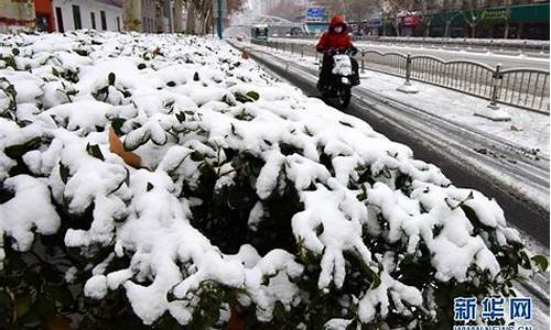 郑州冬天平均气温_郑州冬天天气预报