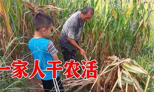 夏天干农活_天气热怎么干农活