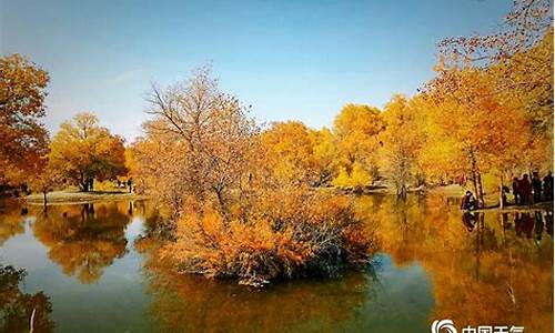 胡杨林地区天气预报30天准确_胡杨林10月天气