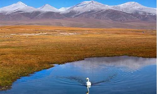 巴音布鲁克天鹅湖天气_新疆巴音布鲁克天鹅湖景天气