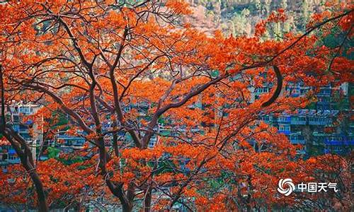 攀枝花天气8月天气_攀枝花2020年天气