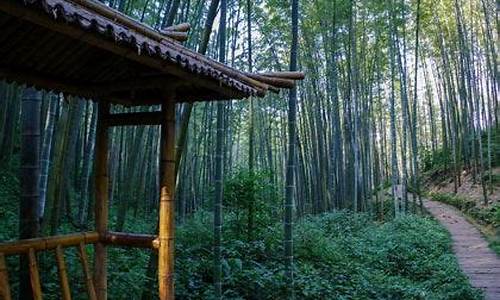 蜀南竹海天气预报一周_蜀南竹海天气预报一周七天