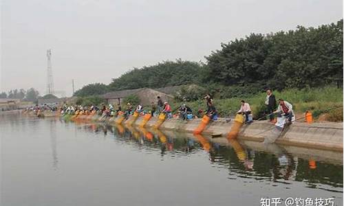 天气冷鱼塘钓鲤鱼_天气冷如何钓鲤鱼