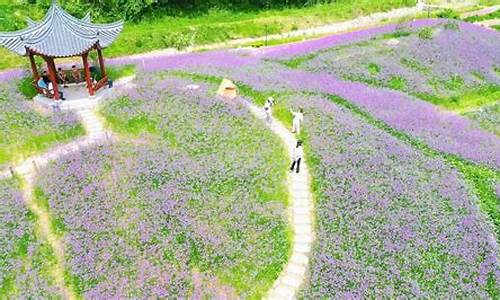 椒江区章安明天天气预报_椒江章安天气预报