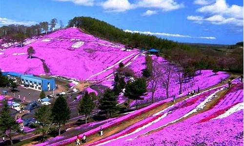 十一月北海道天气_十一月北海道天气预报