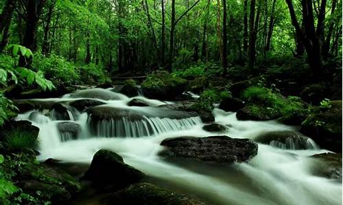 黑龙江虎峰岭天气预报15天_黑龙江虎峰岭天气预报