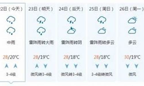 聊城一周天气预报符号_聊城天气小时报