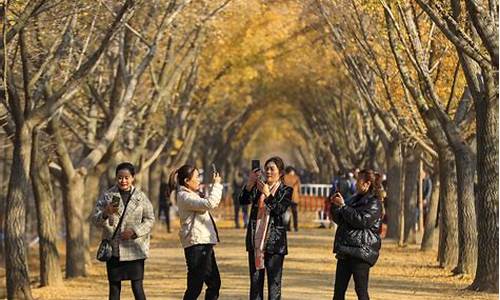 2020年11月邳州天气_邳州2021年1月天气趋势