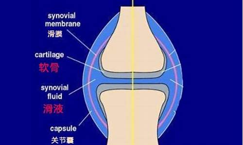 天气变化小腿骨关节疼痛_天冷了小腿骨头酸痛