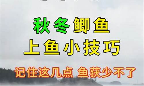 天气冷河沟钓鲫鱼技巧_天冷河里好钓鱼吗